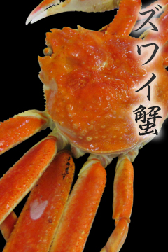 北海道水産卸直営店が送る年末年始ズワイガニ特集