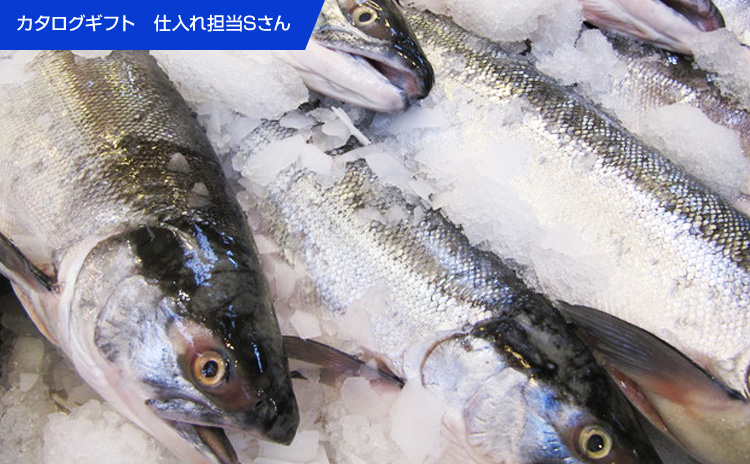 水産仕入れ ウオス