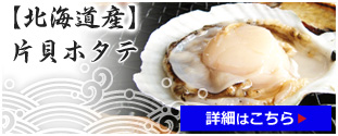 片貝ホタテ