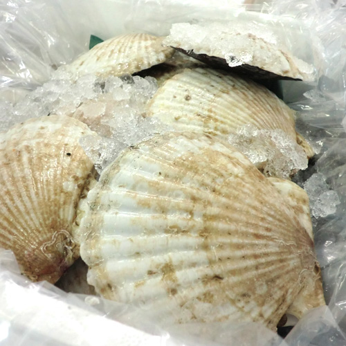 水産通販
