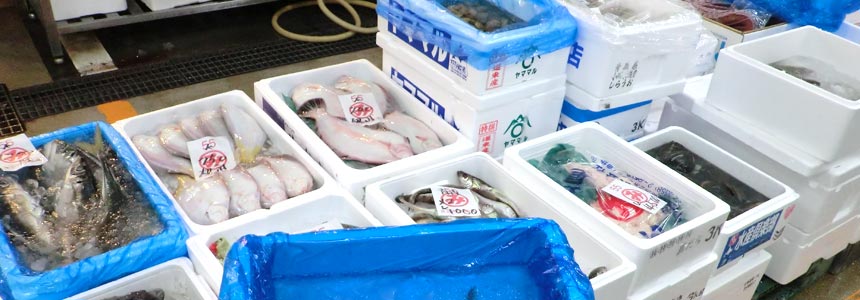 北海道 水産通販 人気