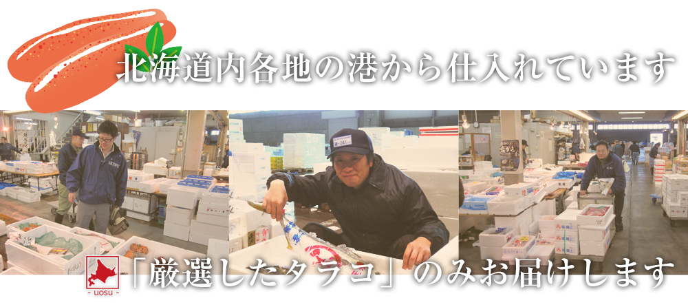 選べる美味しさ!ズワイガニの勘杖mを取り寄せ
