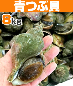 青つぶ貝8kg