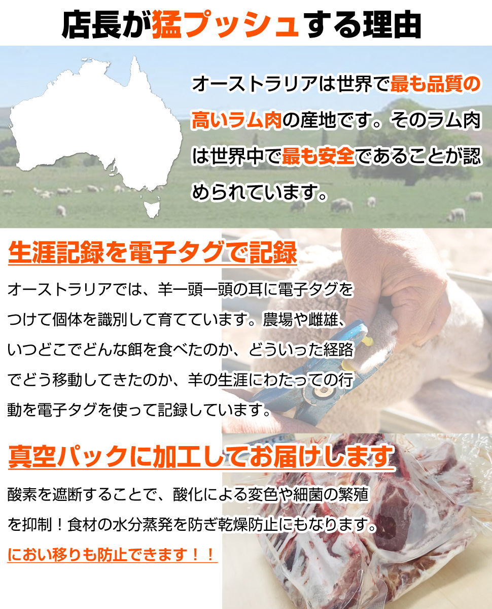 水産仕入れ ウオス