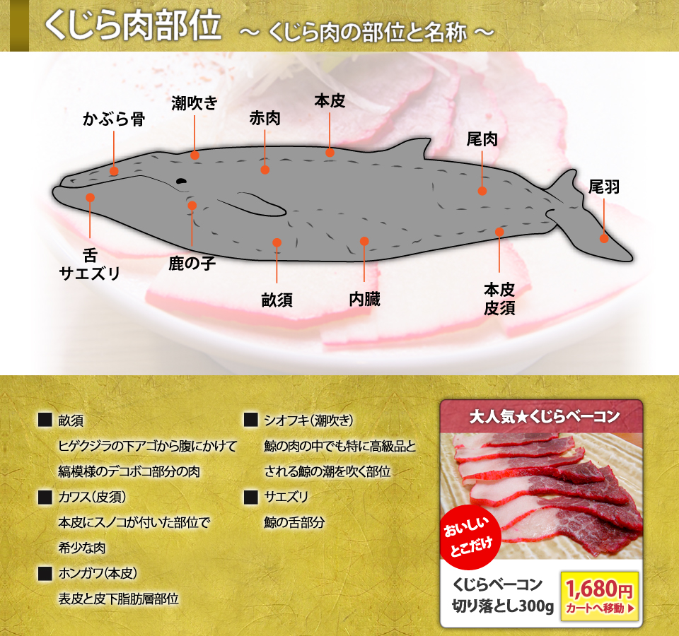 鯨肉の部位紹介